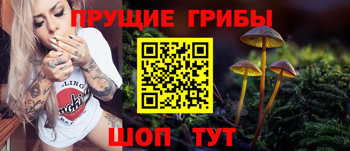 Псилоцибиновые грибы Cubensis Чернушка