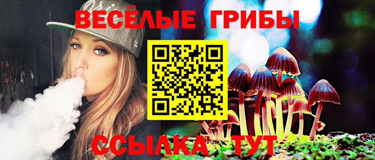 Псилоцибиновые грибы MAGIC MUSHROOMS  Галлюциногенные грибы Psilocybine cubensis  Чернушка  Вход с VPN 